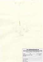 藏品(綠管滸苔)的圖片